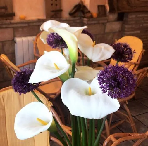 Hotel Rural Verdeancho 3*